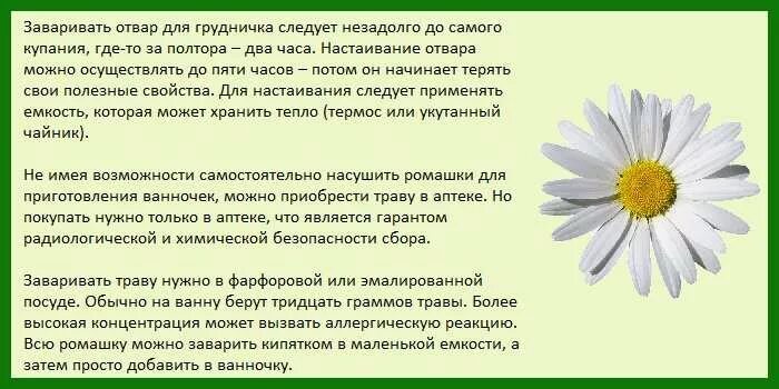 Кашель пить ромашку. Отвар ромашки. Как заваривать ромашку. Заваривать ромашку для купания новорожденного в детской. Ромашковый отвар для грудничка.