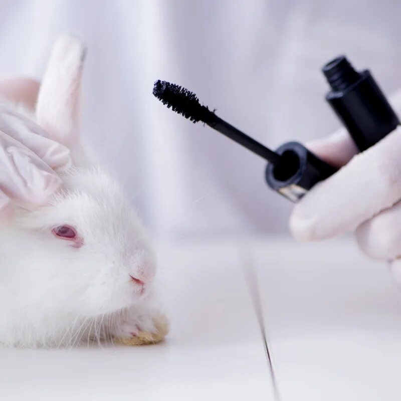 Животный вибратор. Косметику тестируют на животных. Тестирование косметики на животных. Эксперименты косметики на животных. Тестирование косметики на кроликах.