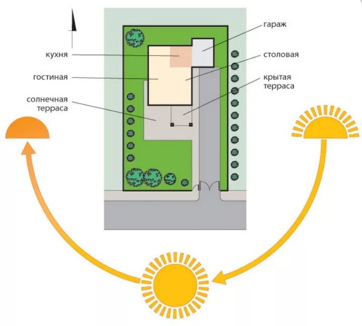 Как ставить теплицу относительно сторон света. Идеальное расположение дома на участке. Расположение теплицы на участке. Планировка участка относительно сторон света. Правильная планировка участка по сторонам света.
