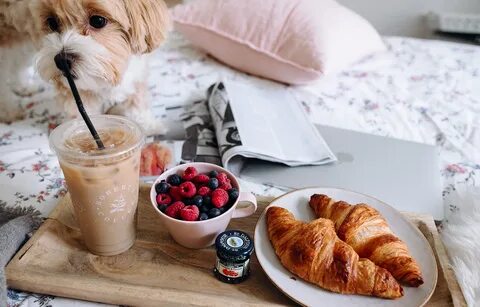 Lazy morning