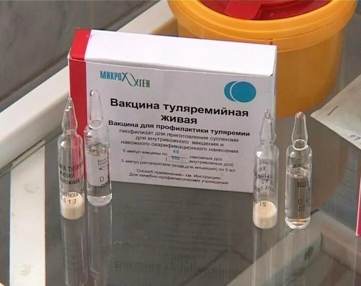 Вакцинация против сибирской язвы схема. Прививки от коронавируса. Дельта штамм. Вакцину против сибирской язвы из штамма 55-внииввим. Вакцинация от коронасирву.