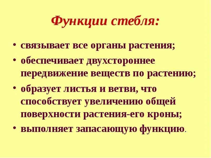 Основные функции стебля. Перечислите функции стебля. Функции стебля растений. Основная функция стебля. Функции стебля ответ