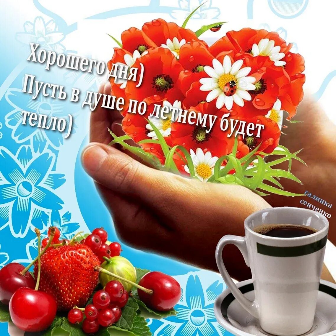 Пожелания доброго июльского утра и хорошего дня. Здоровья и отличного настроения. открытки с пожеланиями здоровья и доброго утра. здоровья бодрости и хорошего настроения. пожелания с добрым летним утром.