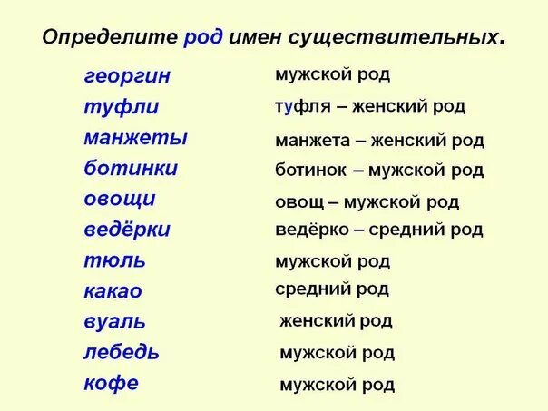 Произведение род существительного. Туфля род существительного. Какоготрлда слрво тюль. Определите род существительных тюль. Тюль род мужской или женский.