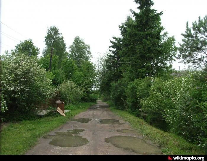 Снт движенец. Снт движенец. Снт движенец мга. Снт движенец. Савеловка.