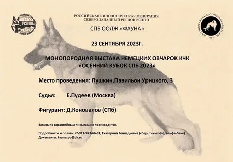 Выставка немецких овчарок иркутск 06.07 2024 зоопортал