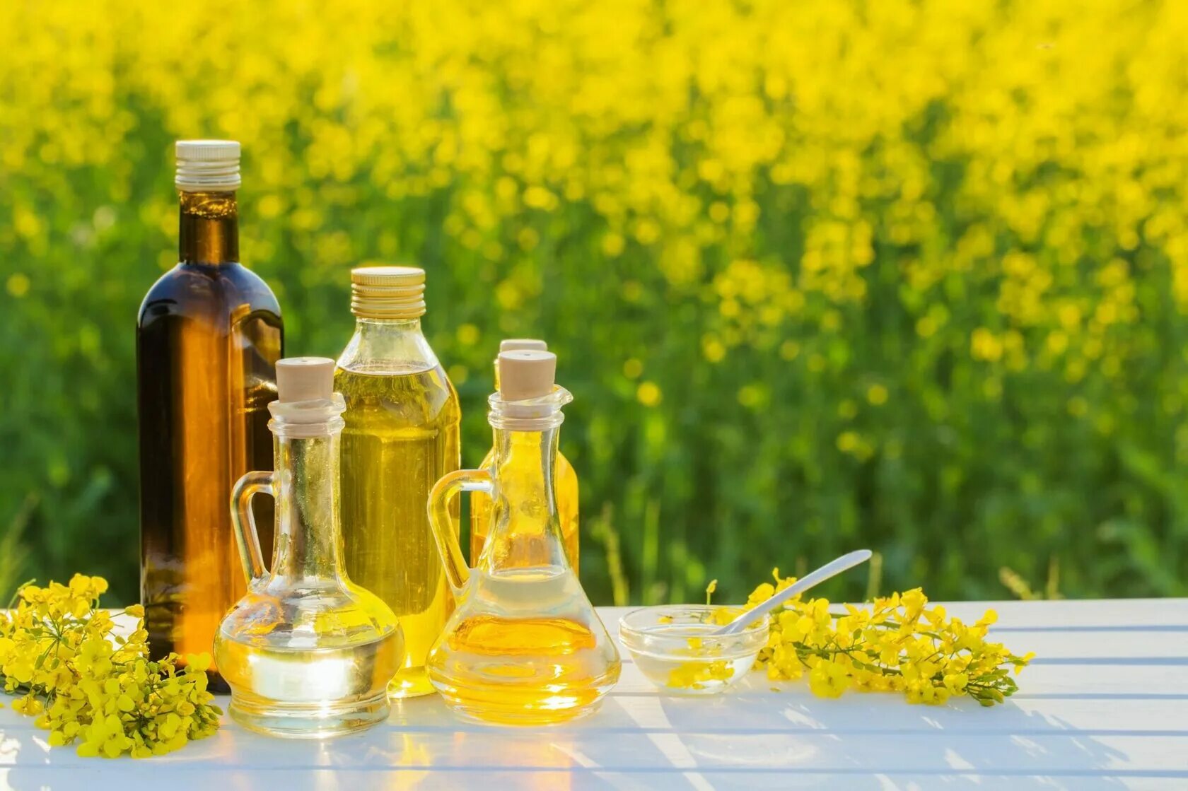 Рапс масло. Масло подсолнечное. Ассортимент растительных масел. Масло канолы. Рапс масло.