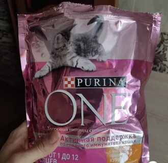 Zilli корм для котят