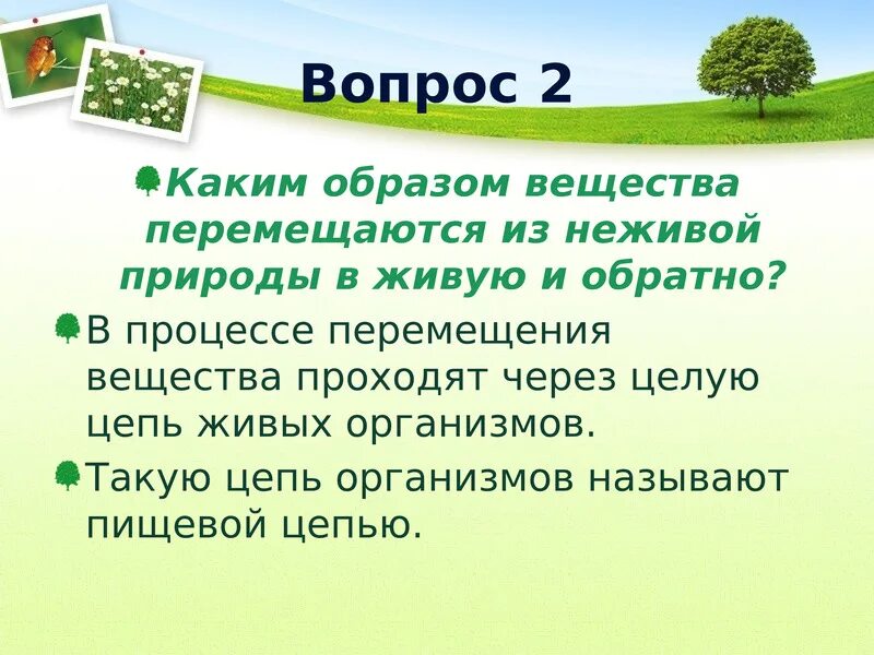 Презентация по теме природное сообщество 5 класс