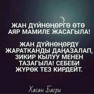 Мамил