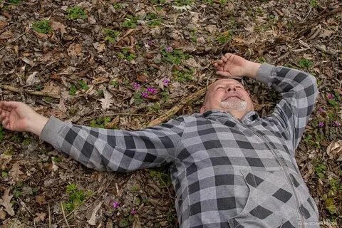 Дневник отчаянных пенсионеров на дзен публикации последние