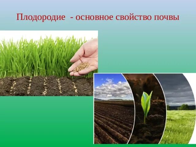 Почва и культурное растение. Почва и ее плодородие. Почва плодородие почвы. Повышение плодородия почвы. Свойства почвы.