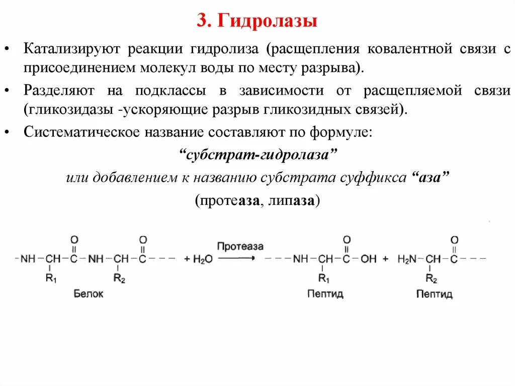 Типы реакций катализируемых ферментами. Примеры гидролазы ферментов реакции. Гидролазы Тип реакции. Гидролазы примеры ферментов. Гидролазы катализируют реакции.