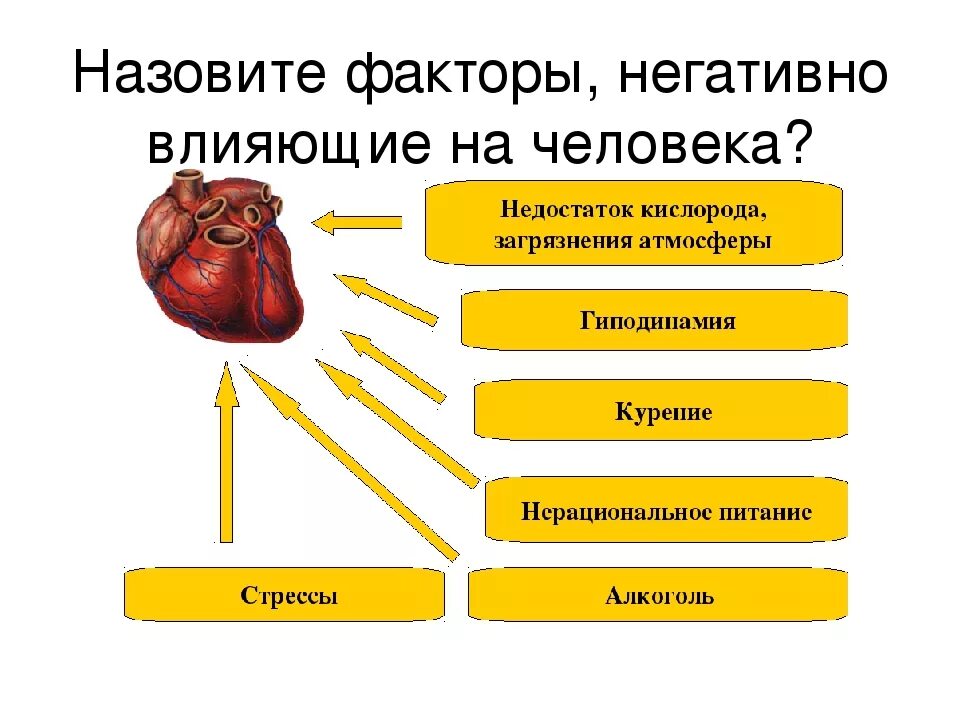 Воздействия внешних факторов на организм человека. Факторы негативно влияющие на организм человека. Факторы негативно влияющие на человека. Факторы влияющие на почки. Факторы, отрицательно воздействующие на здоровье человека ....