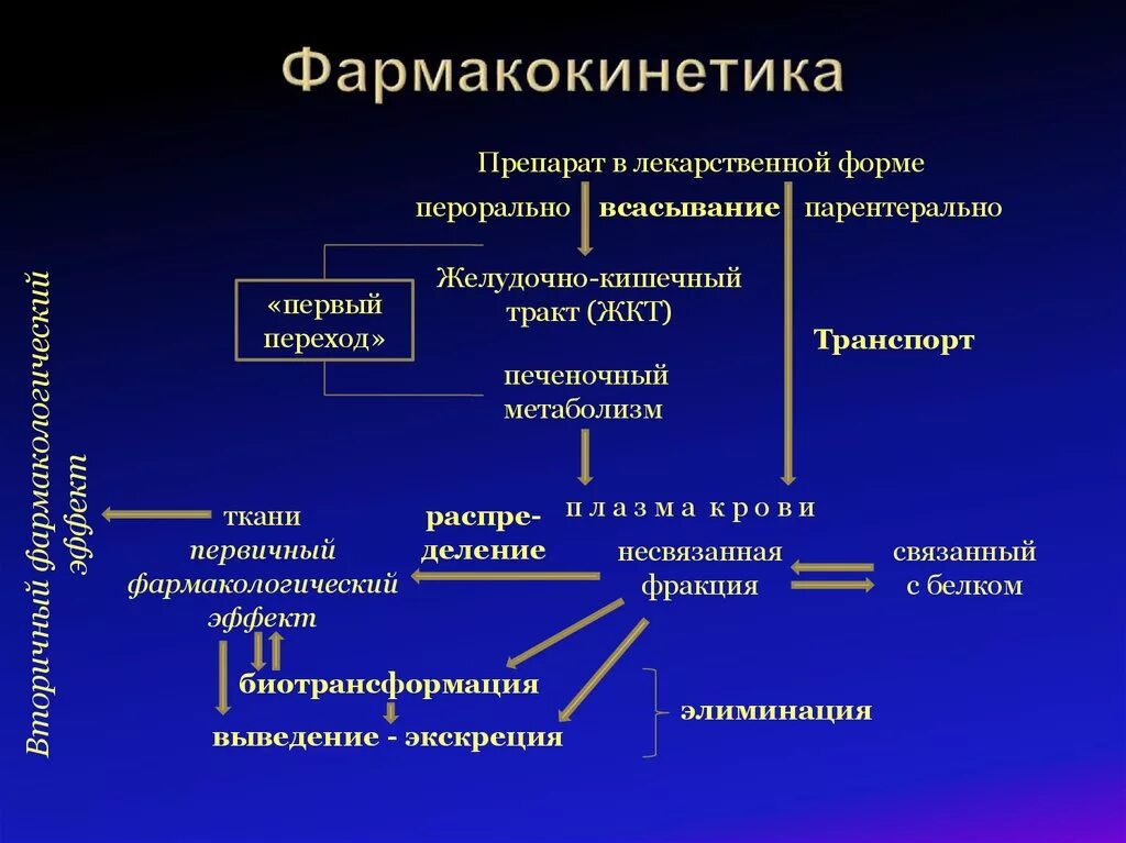 Фармакокинетика лекарственных средств. Основные этапы фармакокинетики. Этапы всасывания лекарственных средств. Этапы фармакокинетики лекарственных средств. Происхождение лекарственных форм