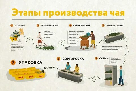 Процесс производства направлен на создание