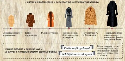 Какие слои идут в шубе