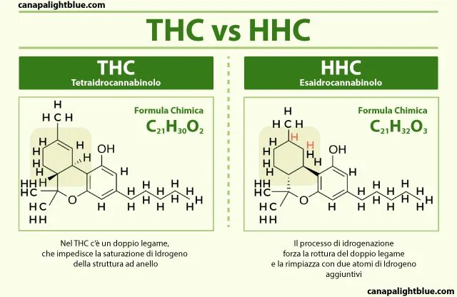 Hhc. Hhc трава. система hhc. hhc liquid.