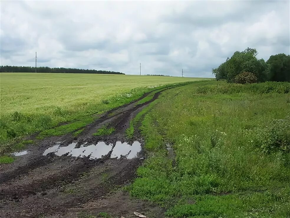 Авито милославское рязанской. Жерновки Рязанская область Милославский район. Озерки Рязанская область Милославский район. Деревня Екатериновка Рязанская область Милославский район. Чернава Милославского района Рязанской области.