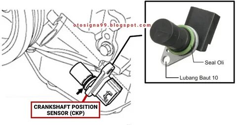 Sensor перевод