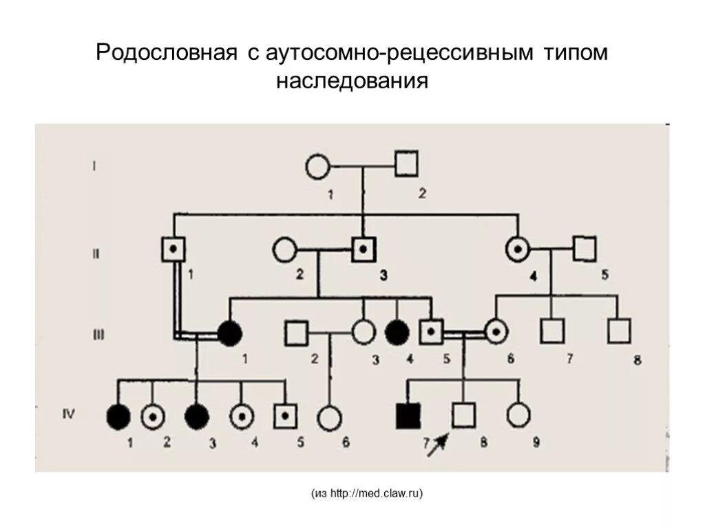 Аутосомно рецессивный тип родословная. Родословная с аутосомно-рецессивным типом наследования. генеалогическое древо аутосомно рецессивный тип наследования. родословные на аутосомно рецессивный тип.