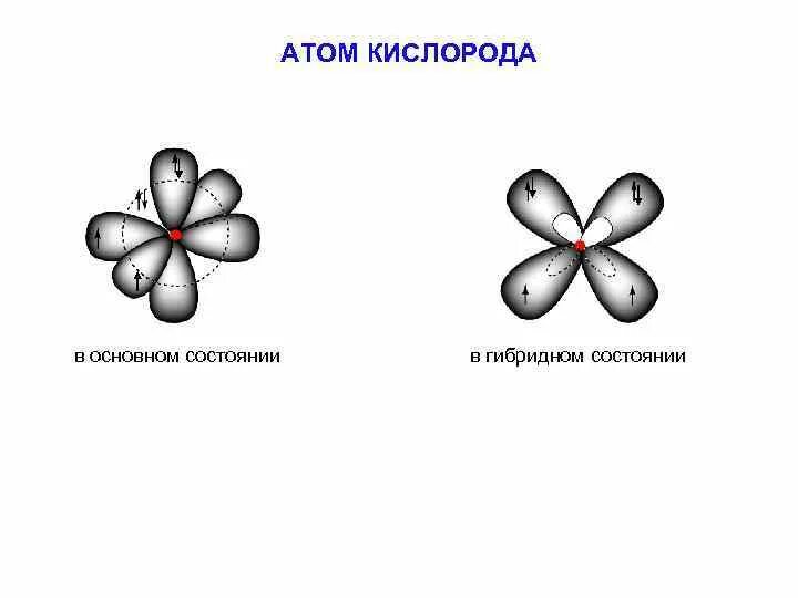 Структура атома кислорода. Модель атома кислорода. Макет атома кислорода. Схема строения кислорода.