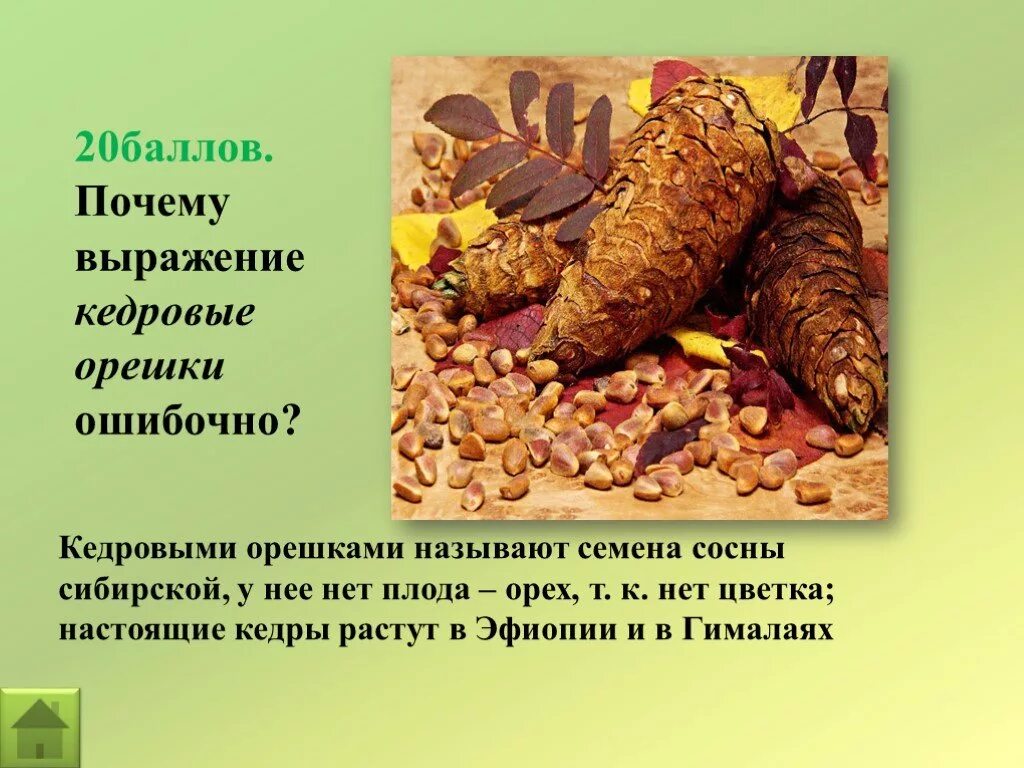 Почему выражение