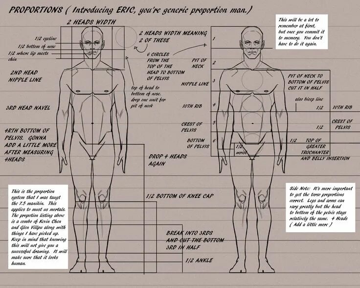 Get things out of proportion. Man proportion. human body proportions. man body proportions. тело в head units.