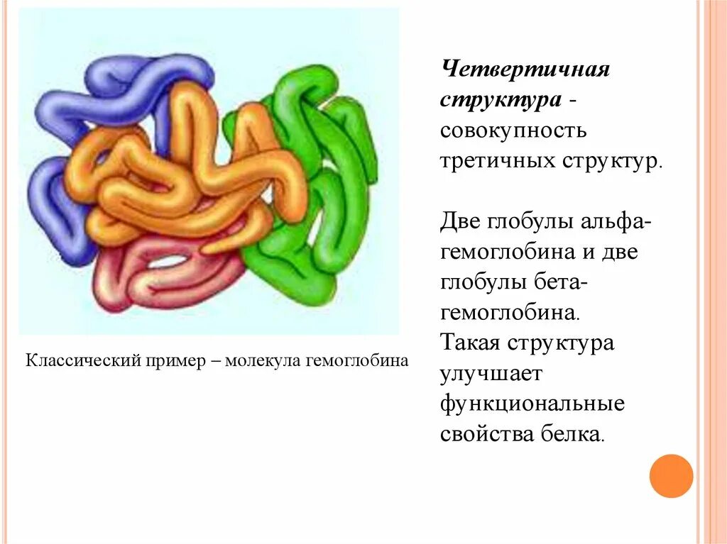 Глобулярная структура белка. Третичная структура у фибриллярных и глобулярных белков. Глобулярные белки первичная структура. Белки форма глобулы. Белки форма глобулы.