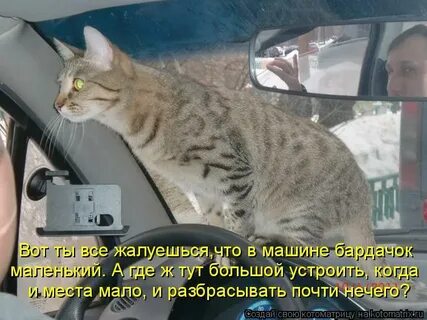 Тут ж