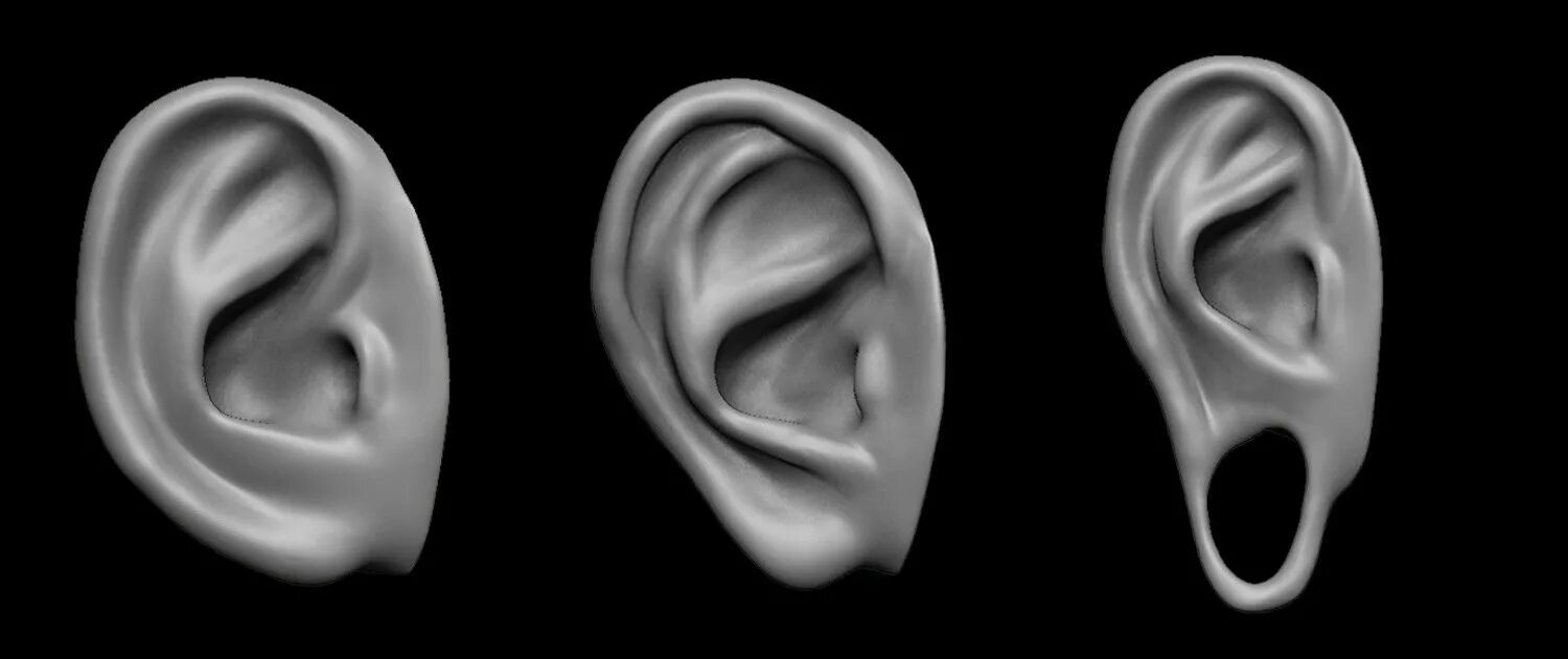 Ears 3d
