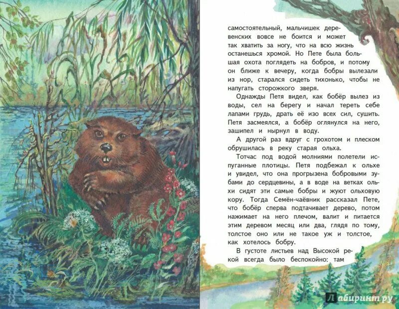 Сказка паустовского дремучий медведь. Главные герои рассказа дремучий медведь. Главные герои рассказа дремучий медведь. К г паустовский дремучий медведь. К г паустовский дремучий медведь иллюстрация.