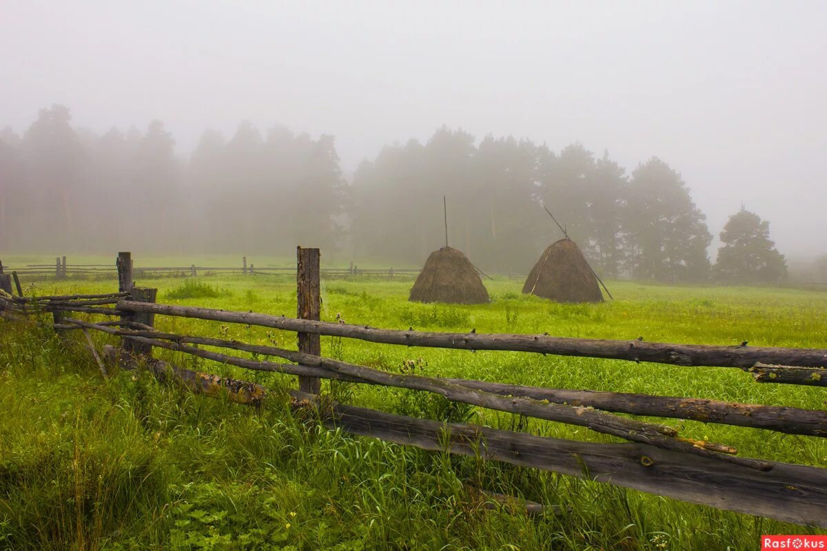 Поля из деревни из какой деревни. Поле деревня. Поля из деревни из какой деревни. Поля из деревни из какой деревни. Поля из деревни слив.