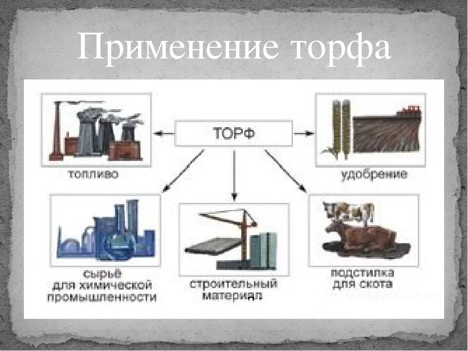 Горючие полезные ископаемые 4. Торф сфера применения. Применение торфа. Использование торфа схема. Использование торфа человеком.