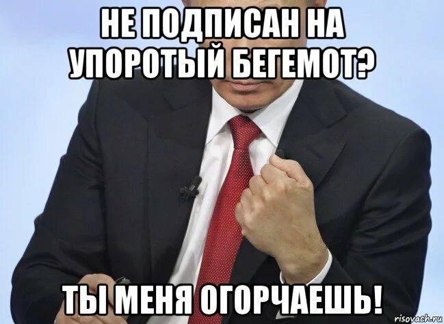 Ни на кого не подписываюсь. Ты меня огорчаешь. Мемы про Путина Упоротые. Ты меня огорчаешь Мем. Не Подписывай.