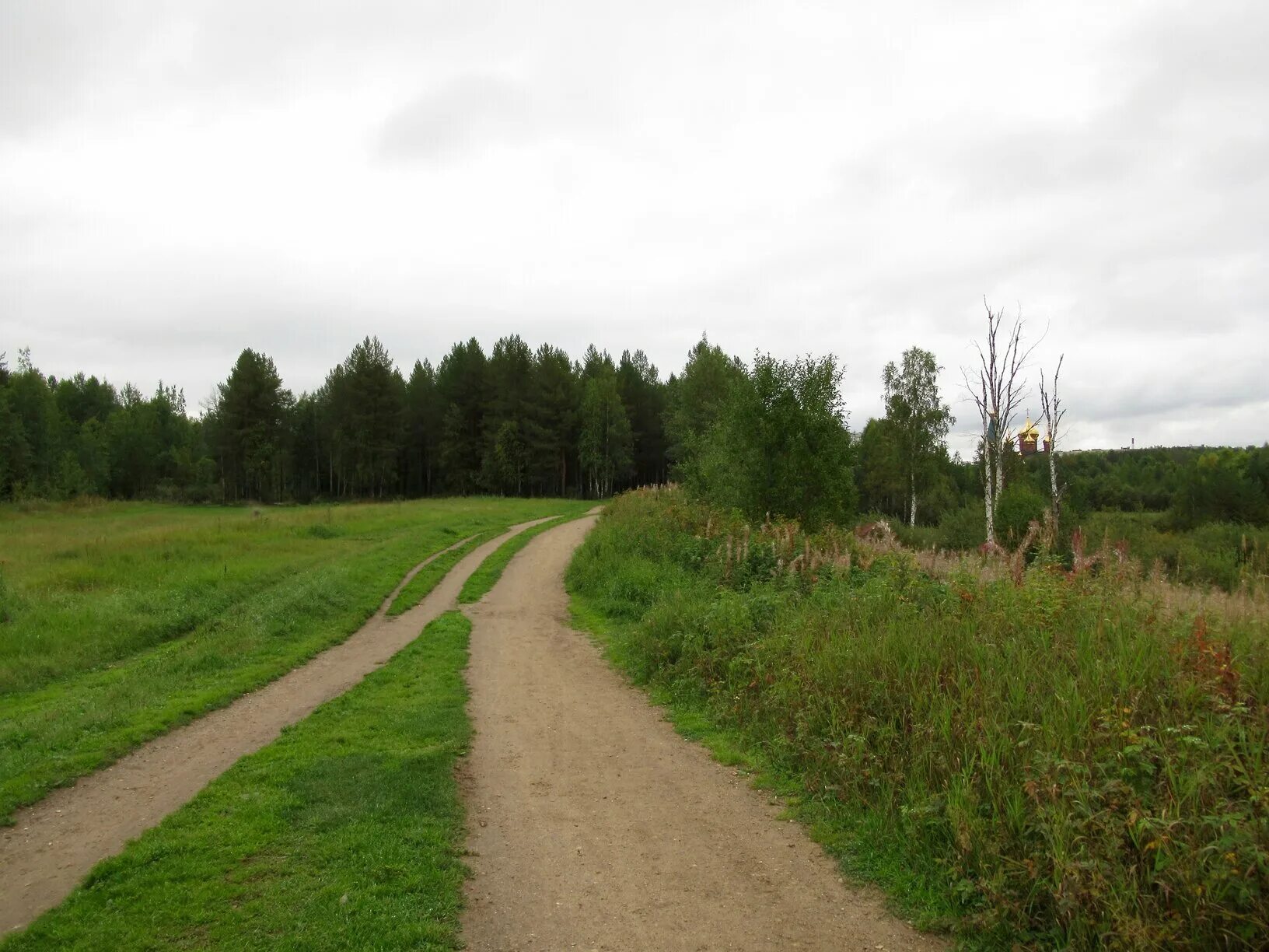 Урочище вязостров. Ежово нижегородская область. Ежово. Поселок бавлены кольчугинского района. Д ежово.
