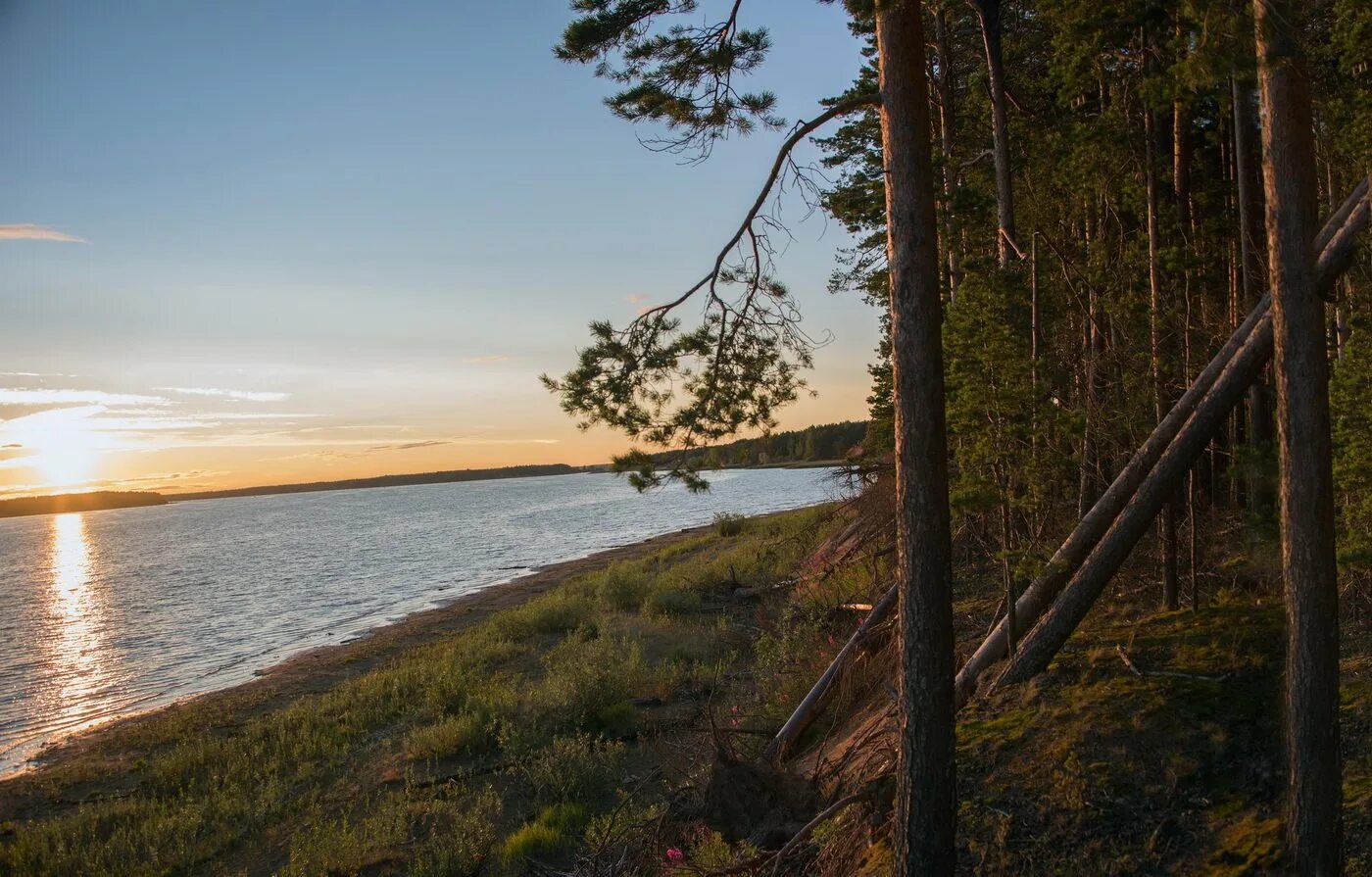 Берега рыбинского водохранилища
