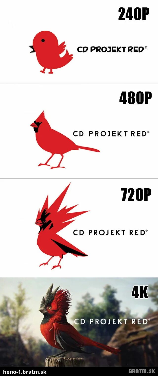Сд ред. Красный Кардинал CD Projekt. CD Projekt Red блоггер проекты. CD Projekt Red игры. CD Projekt Red логотип.