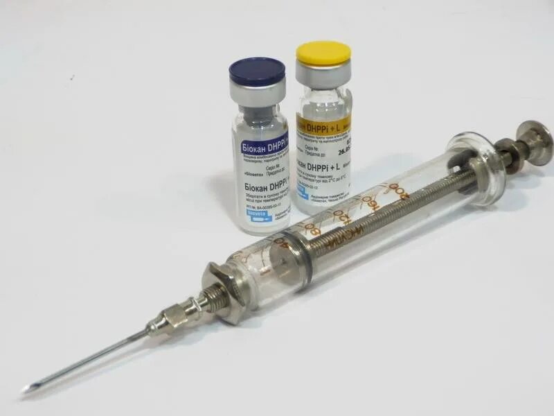 Биокан dhppi вакцина для собак. Биокан вакцина. Вакцина Биокан DHPPI+L.