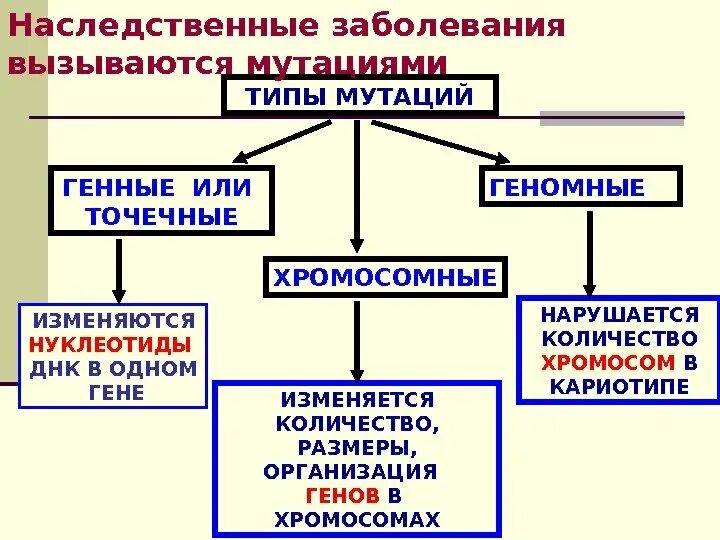Типы генетической мутации. Геномные мутации схема. типы мутаций генные хромосомные геномные. классификация мутаций генные хромосомные геномные. генные хромосомные и геномные мутации примеры.