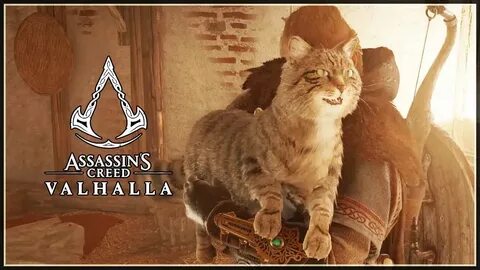 Кошачьи шаги ассасин крид