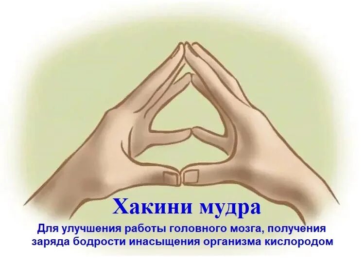 Мудра времени. Мудра для памяти и ума. мудры для концентрации внимания. мудра для памяти и внимания. мудры для головного мозга.