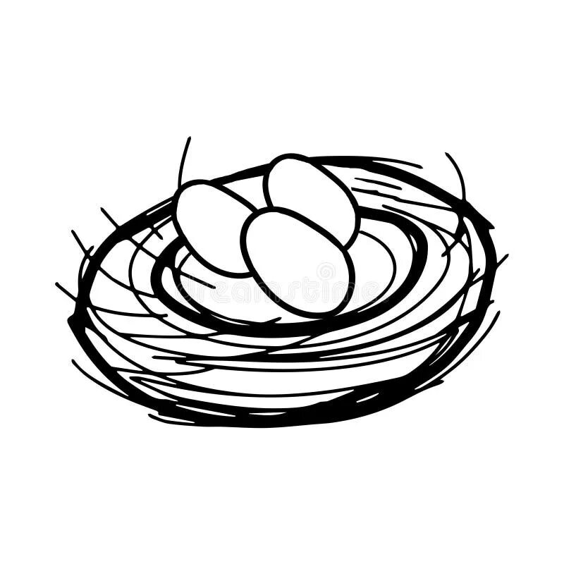 Nest group