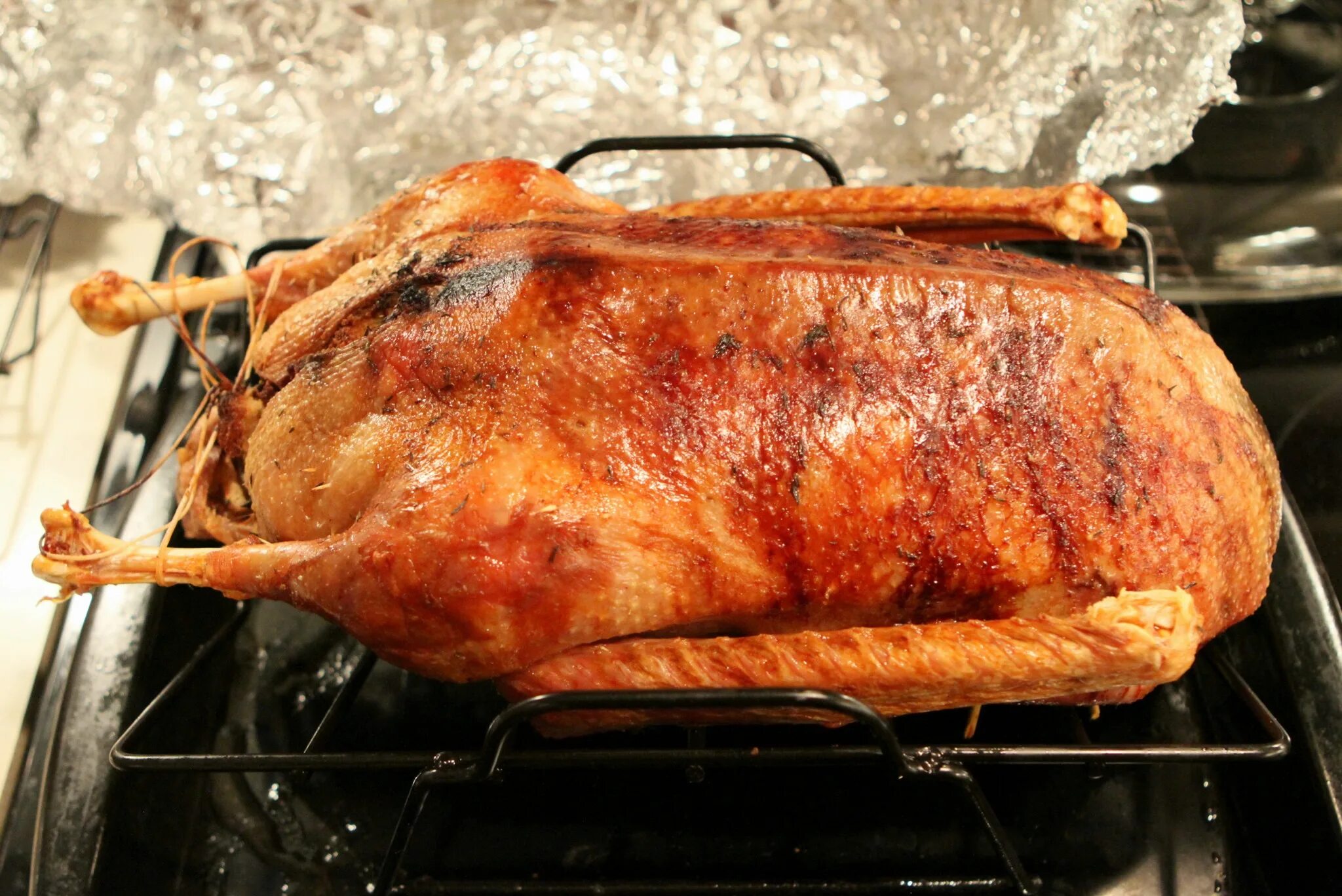 Having cooked. Goose is cooked. cook someone&#039;s goose. the d.a. cooks a goose. cook your goose.