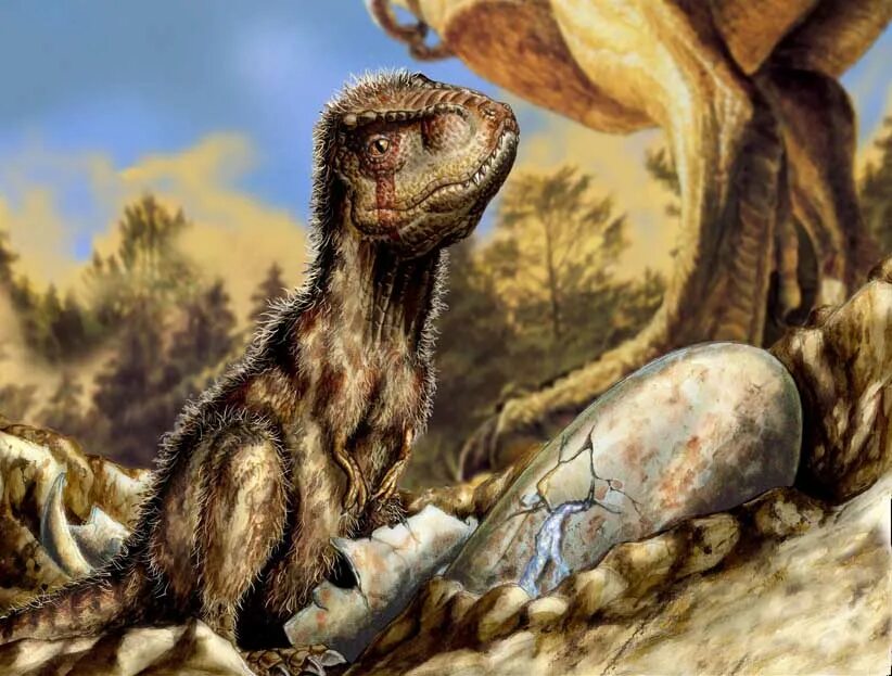 Тираннозавр детеныш. Тираннозавры потомство. Детеныш тиранозавра Рекса. Тираннозавр 2022.