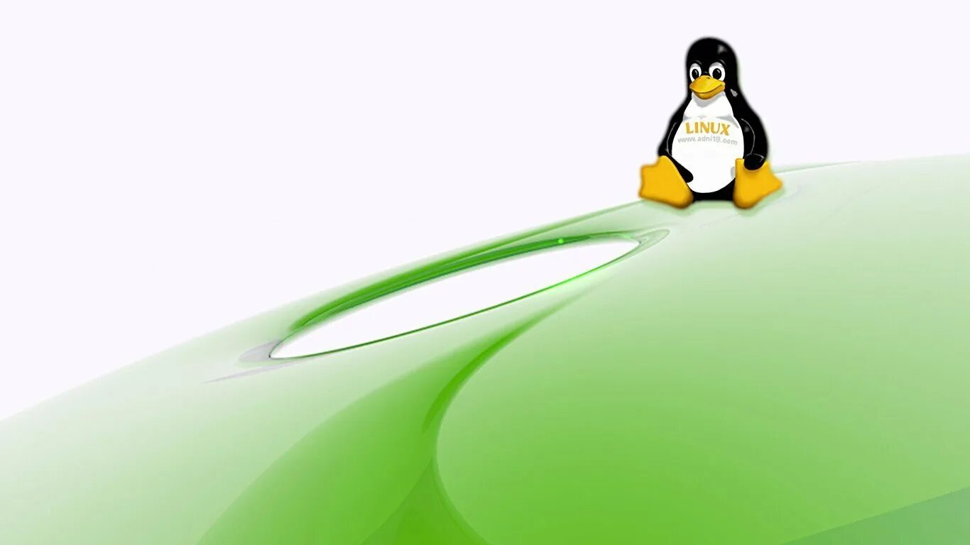 Balena linux. Рей линукс. Фон линукс. Заставка линукс. Фон рабочего стола Linux.