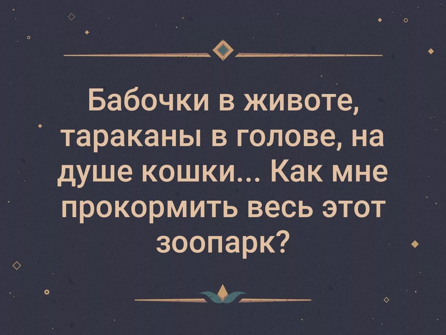 Бабочки в животе тараканы в голове. Высказывания про бабочек в животе. Бабочки в животе фразы. Выражение бабочки в животе