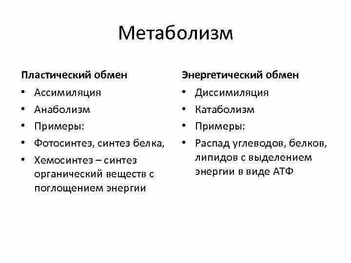 Атф анаболизма. Обмен веществ пластический обмен энергетический обмен. Обмен веществ метаболизм пластический и энергетический обмен. Примеры энергетического обмена. Примеры пластического и энергетического обмена веществ.