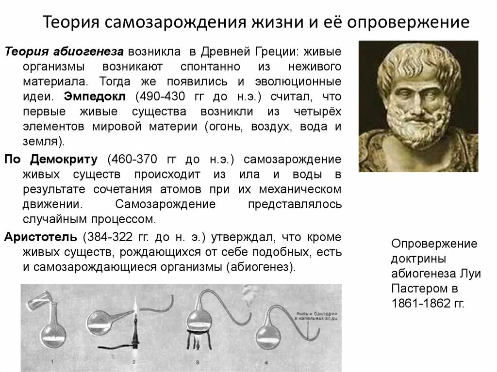 Гипотеза живое из неживого. Гипотеза самозарождения жизни абиогенеза. Аристотель самозарождение жизни. Теория самозарождение жизни + и - гипотезы. Гипотеза самозарождения Автор.