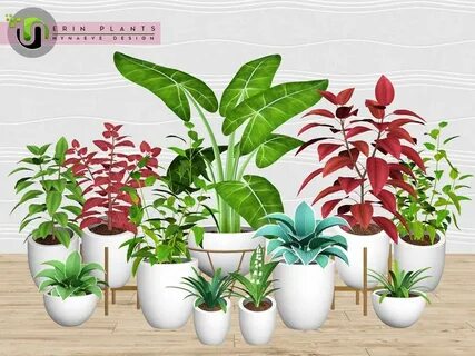 Plant 02